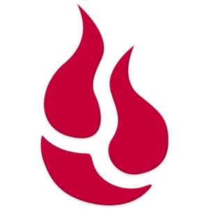 Logo Backblaze